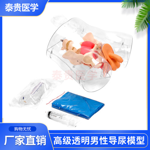 泰贵医学高级透明男性导尿模型