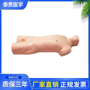 泰贵医学CK813腹部移动性浊音叩诊与腹腔穿刺训练模型浊音叩诊模拟人