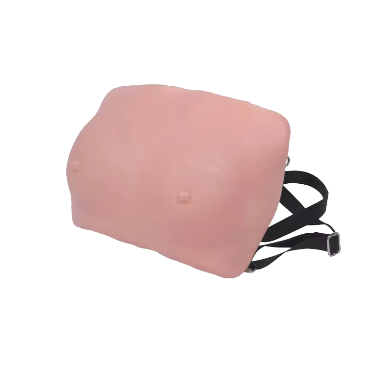 高级乳房检查模型乳房检查模型