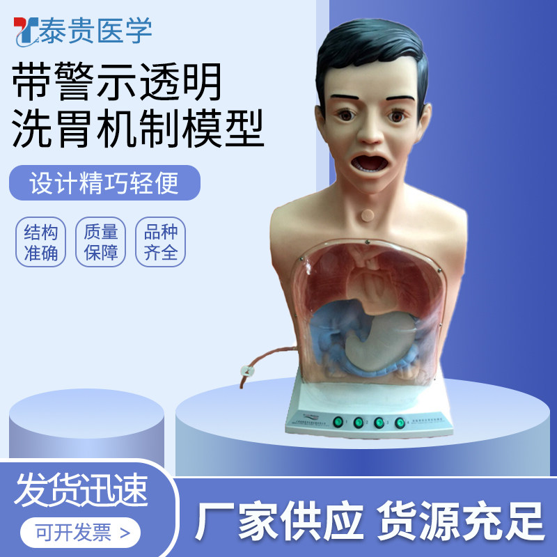 带警示透明洗胃机制模型 GT/XW