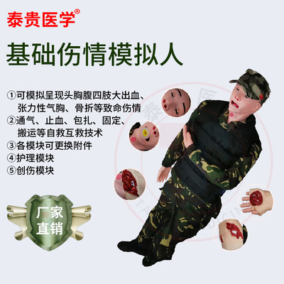泰贵医学野战基础伤情模拟人
