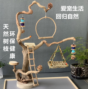 鹦鹉站架小太阳虎皮玄凤牡丹杜鹃木站杆枝大型鸟架落地实木站台