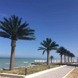 专业工厂制作仿真海藻树工程项目室外假海藻树仿紫外线大王椰子树