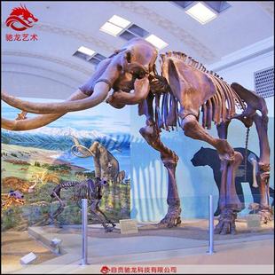 猛犸象仿真骨架化石标本古生物骨头科普模型定制博物馆展品定制