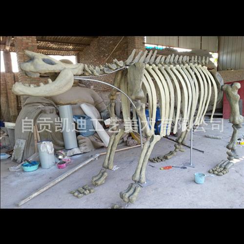 仿真动物恐龙化石大型仿真恐龙骨架制作大型恐龙模型拼装骨架