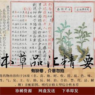 中医传统古籍 本草品汇精要明弘治十八年彩绘写本收擦古旧PDF电子