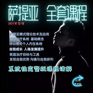萨提亚课程 视频培训教程冰山理论家庭治疗自我成长心理教学合集