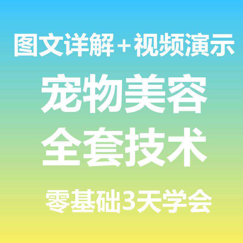 宠物美容视频教程造型护理师技术培训教学自学泰迪比熊剪毛大全套