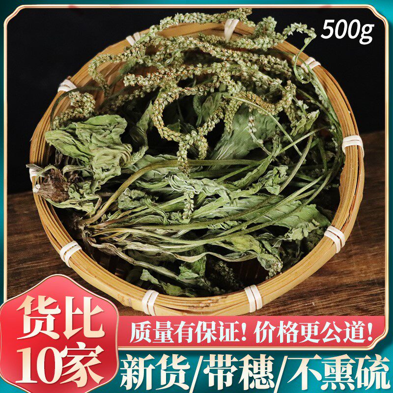 车前草500g中药材干 干货袋装整颗车前草新鲜晒干 干可搭蒲公英泡
