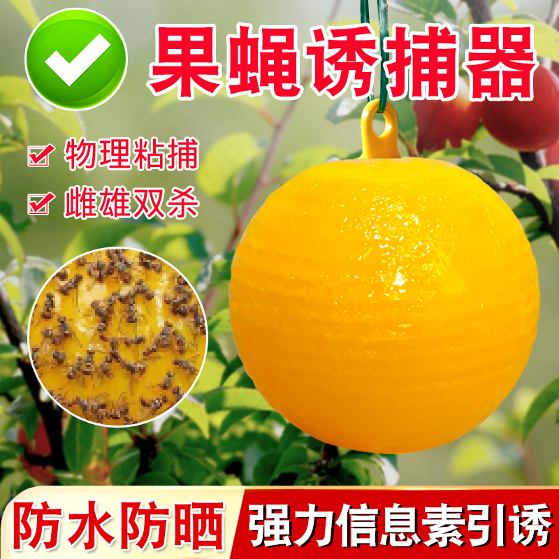 粘虫球丝瓜果实蝇贴诱蝇球针蜂马蜂色引诱剂果蝇诱捕器双面黄板纸