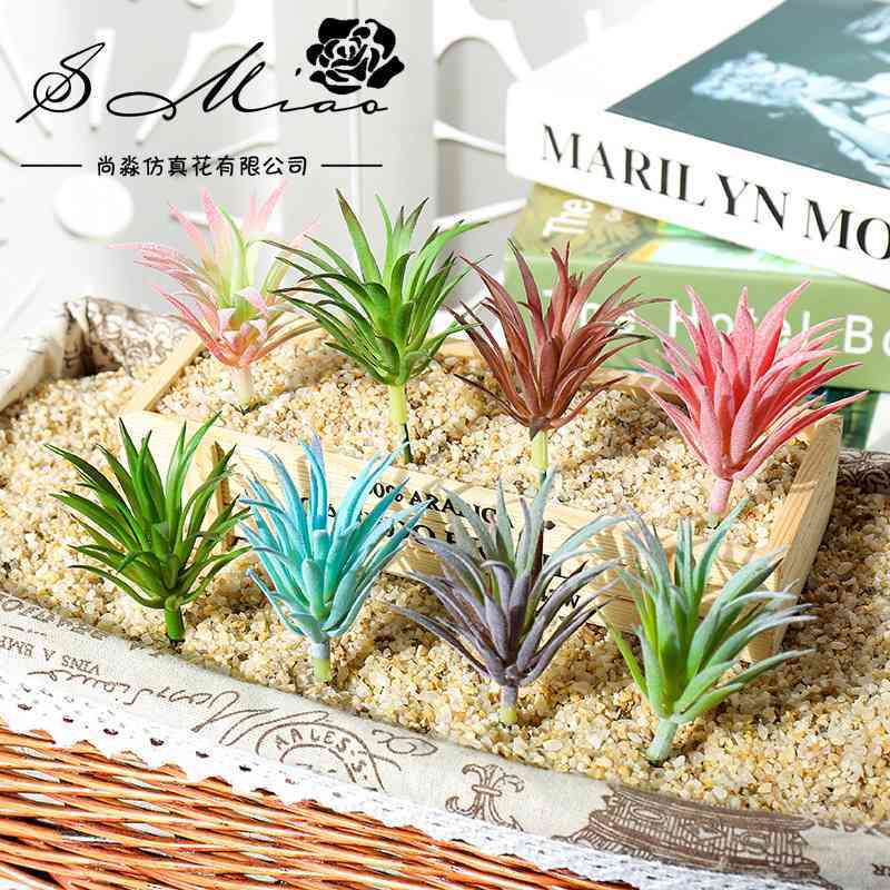 仿真多肉花头植绒迷你领教草假花植物墙用品DIY设计人造绿植尚淼