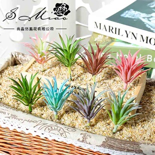 仿真多肉花头植绒迷你领教草假花植物墙用品DIY设计人造绿植尚淼