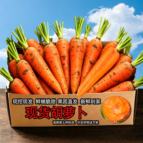 现货胡萝卜生吃水果萝卜新鲜蔬菜当季整箱带泥甜脆红皮红心红罗卜