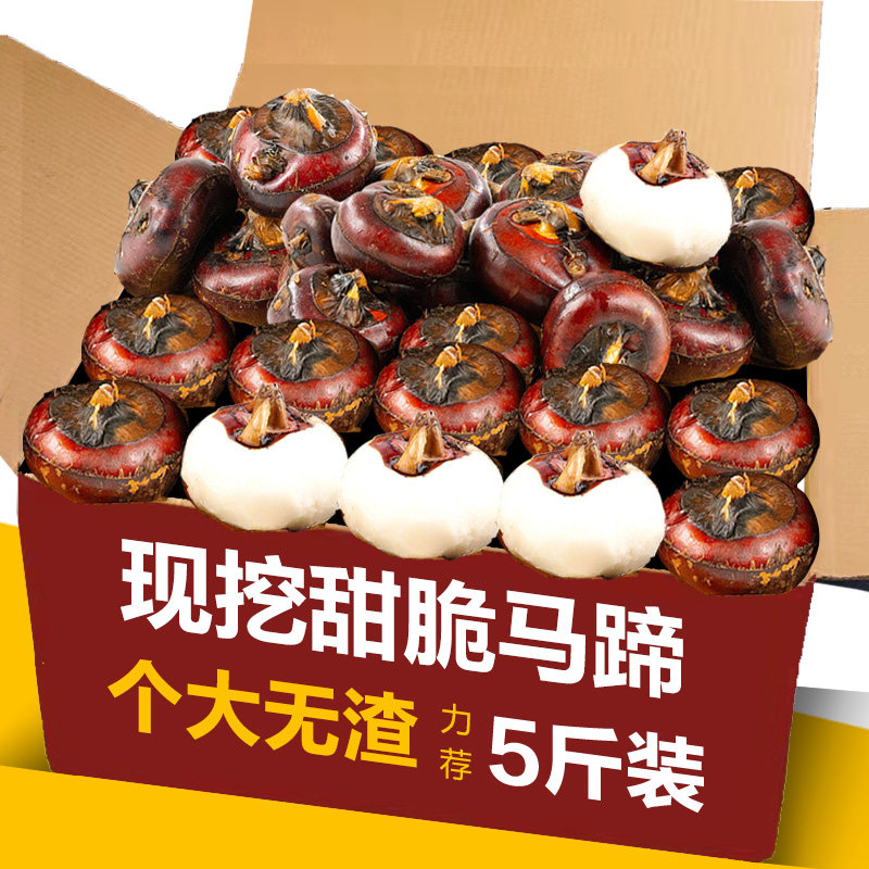 脆甜多汁马蹄果9斤当应季水果现挖新鲜荸荠农家蔬菜饽荠地栗包邮5