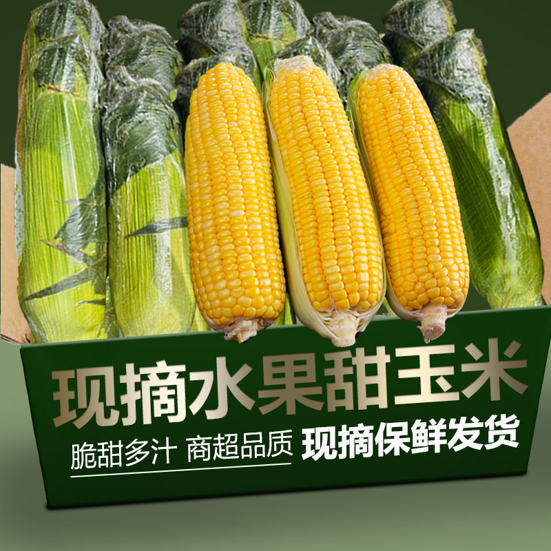 新鲜金黄水果玉米9斤新鲜生吃甜玉米棒子苞谷米现摘糯包邮蔬菜整