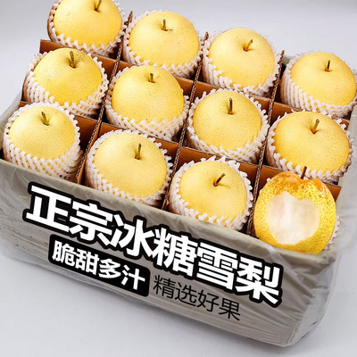 雪花梨赵州雪花梨当季新鲜现摘冰糖雪梨川贝炖雪梨膏9斤新货上市