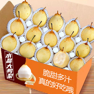 正宗河北鸭梨新鲜水果梨时令当季整箱梨子新鲜雪梨鸭梨水晶梨包邮