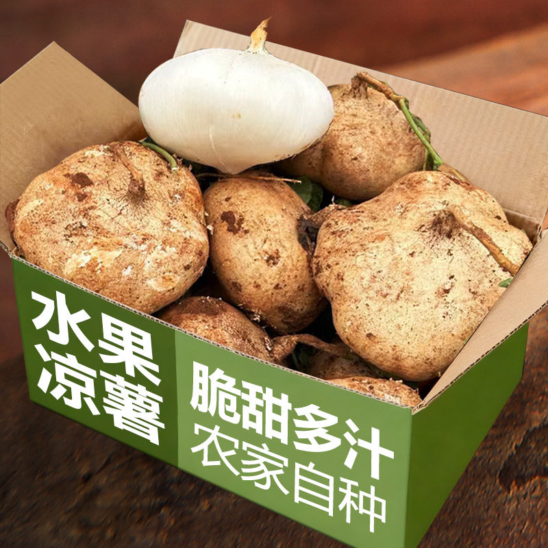 水果凉薯新鲜现挖即食农家自种白地瓜红豆薯蔬菜整箱土瓜小番薯沙