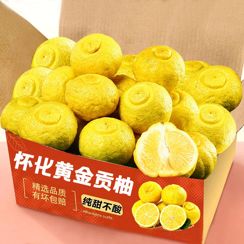 怀化洪江黄金贡柚春香桔柚青新鲜丑甜葡萄柚柑湖南雪峰山9斤水果