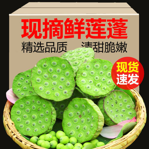 新鲜莲蓬现摘发货鲜香脆嫩