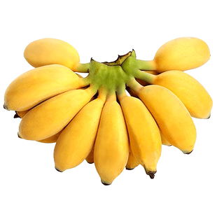正宗苹果蕉现摘香蕉新鲜苹果粉蕉自然熟应当季小米芭蕉香焦甜1
