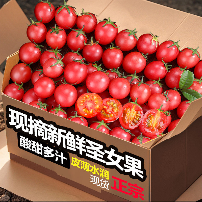 新鲜千禧圣女果脆甜小番茄果园自然熟樱桃圣女果农家现摘产地直发