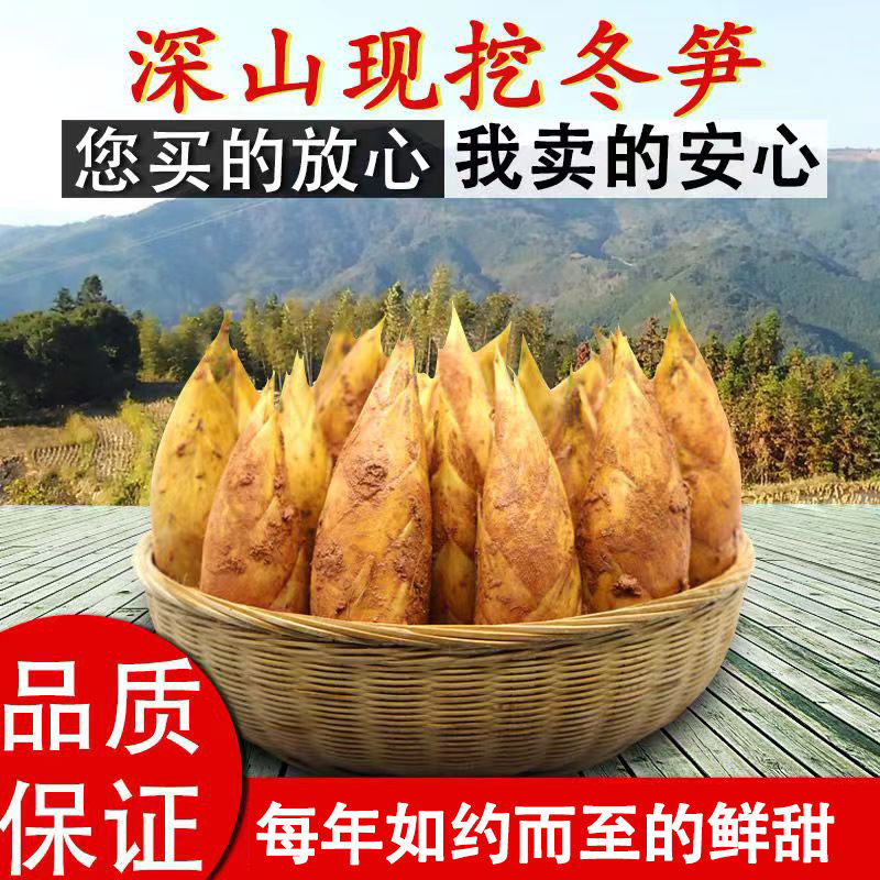 2025冬笋新鲜现挖竹笋新鲜蔬菜笋雷笋腌笃鲜毛笋春甜笋整箱包邮