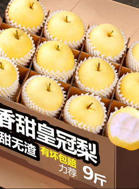 河北赵县正宗皇冠梨子新鲜9斤水果鸭梨雪梨砀山梨翠冠梨当季整箱