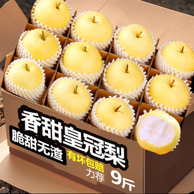 河北赵县正宗皇冠梨子新鲜9斤水果鸭梨雪梨砀山梨翠冠梨当季整箱