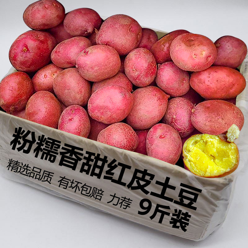 红皮黄心小土豆现挖云南新鲜高原农家自种蔬菜红皮土豆非大马铃薯