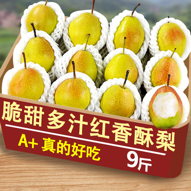 新鲜现摘香酥梨9斤新梨七号梨子整箱当季水果青雪酥梨甜半边红梨9
