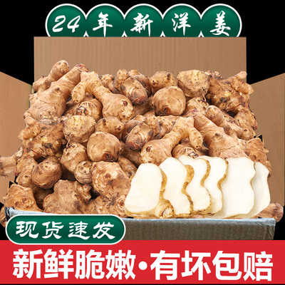 农家现挖洋姜9斤整箱腌菜菊芋