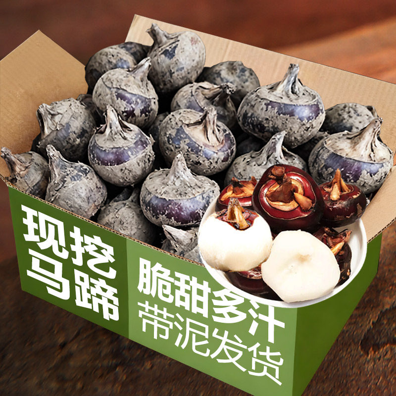 马蹄新鲜现挖5斤荸荠大果甜当季大地脆栗梨农家水果去皮饽荠蔬菜