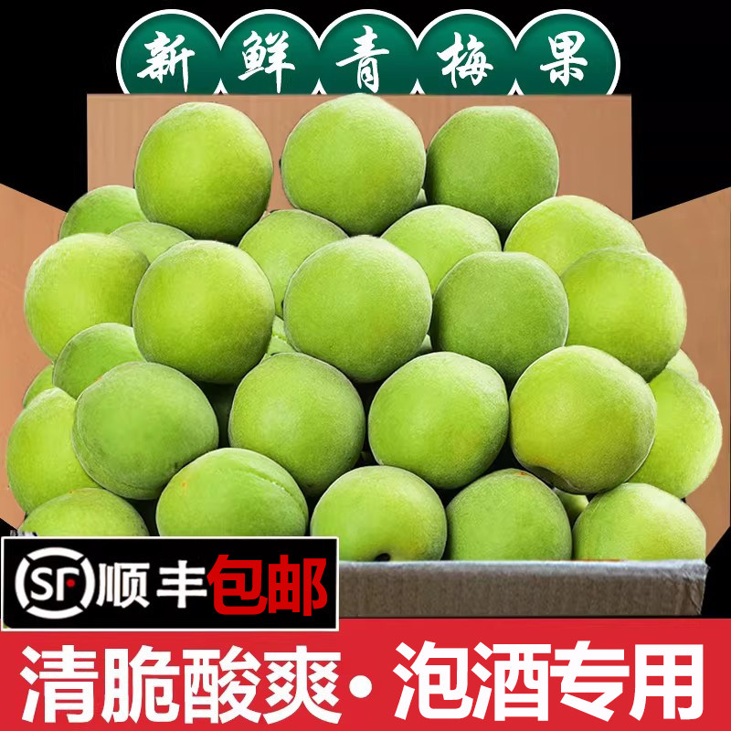 顺丰包邮青梅脆梅子脆青梅鲜果泡酒专用青梅新鲜青梅果现摘酵素梅