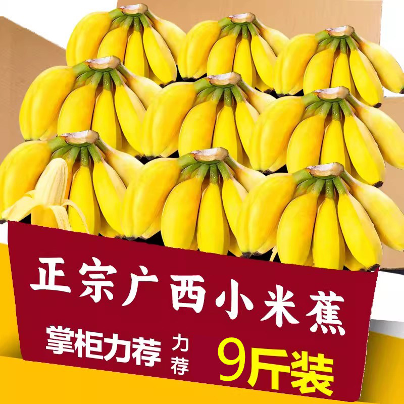 广西正宗新鲜小米蕉9斤现摘香蕉芭蕉应当季水果自然熟整箱粉蕉甜,水产肉类/新鲜蔬果/熟食,香蕉,淘宝优惠券,粉丝福利购,淘宝优惠卷