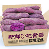 新鲜沙地紫薯板栗红薯番薯地瓜蜜薯糖心现挖山芋烟薯香薯蔬菜农家