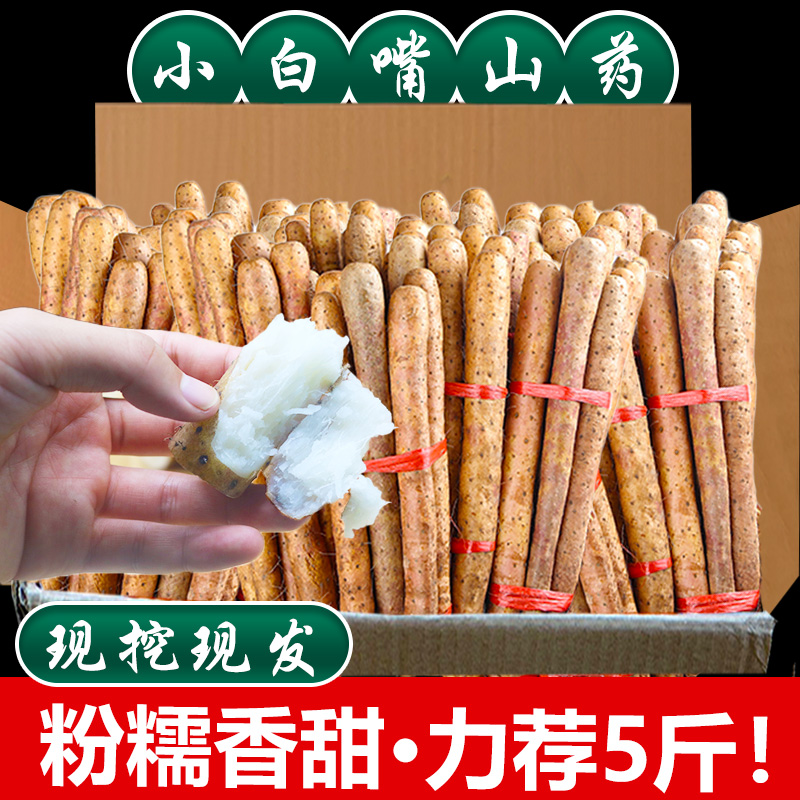 小白嘴山药铁棍山药5斤新鲜非垆土淮山药河南焦作温县当季蔬菜香-封面