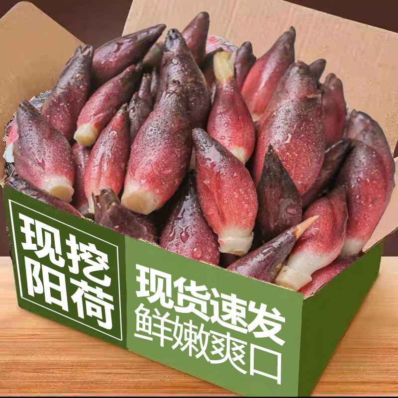ڲ250g ٷˬ ֻٷҰɽ5.8Ԫ