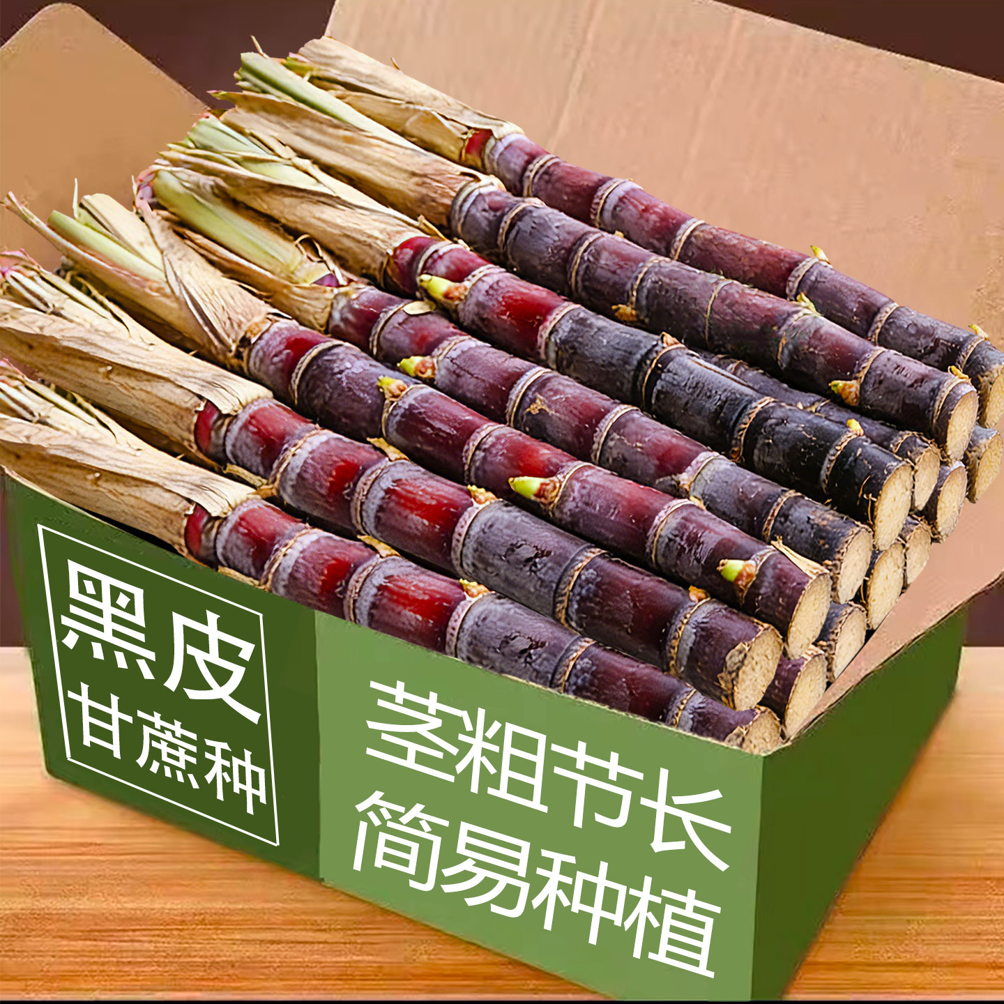 一代黑皮甘蔗种苗黄皮青皮甘蔗种苗黄金甘蔗种苗高产水果甘蔗种子