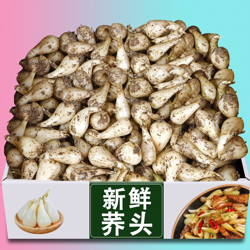 去叶新鲜藠头力荐5斤！鲜嫩