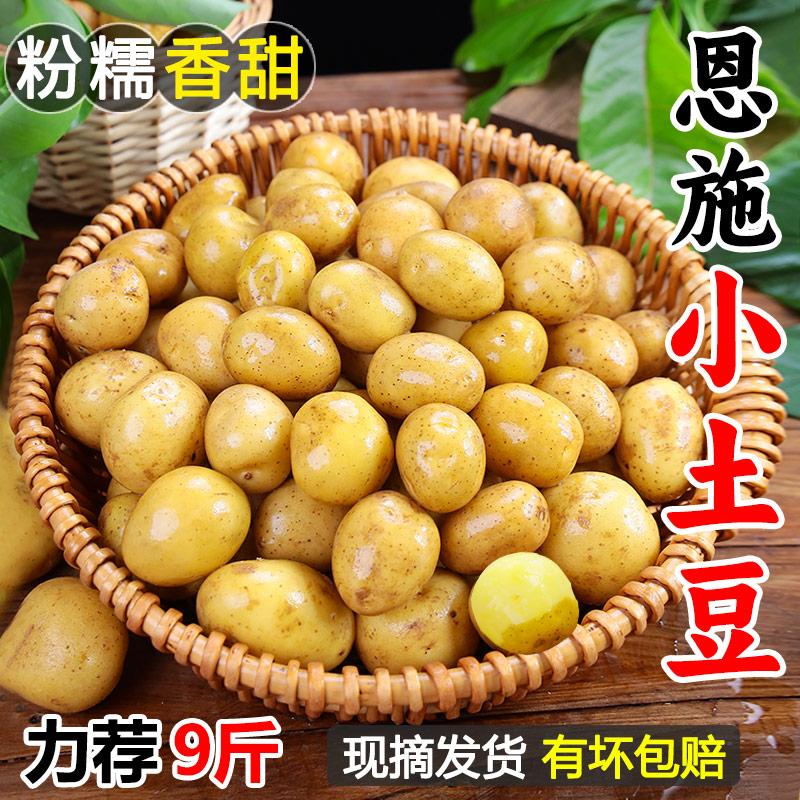 恩施现挖新鲜土豆5斤包邮小土豆农产品蔬菜洋芋10香黄心马铃薯大 水产肉类/新鲜蔬果/熟食 土豆 原图主图