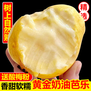 黄金奶油芭乐5斤广东番石榴水果新鲜当季软糯甜香整箱黄金巴乐果