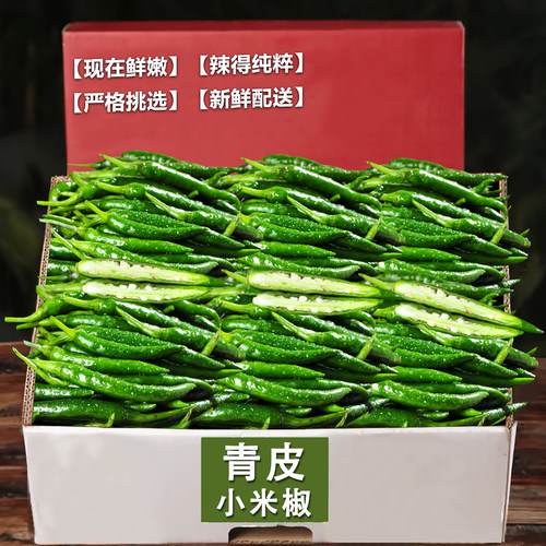 新鲜青米椒山东超辣青辣椒现摘新鲜特辣小米辣朝天椒剁椒指天椒