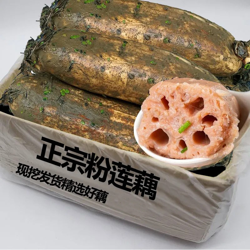 洪湖莲藕新鲜粉藕煲汤粉糯炖汤藕糯米藕整箱煲汤藕湖北新鲜藕包邮图片