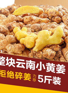 现挖正宗小黄姜5斤新鲜生姜老姜高山小黄老姜月子姜老姜罗平干姜