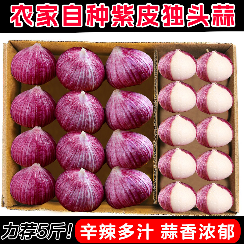 新鲜现挖独头蒜，辛辣多汁！