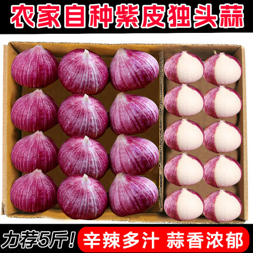 正宗独头蒜大蒜头新鲜紫皮独蒜湿大蒜红珍珠干蒜现挖蔬菜当季整箱