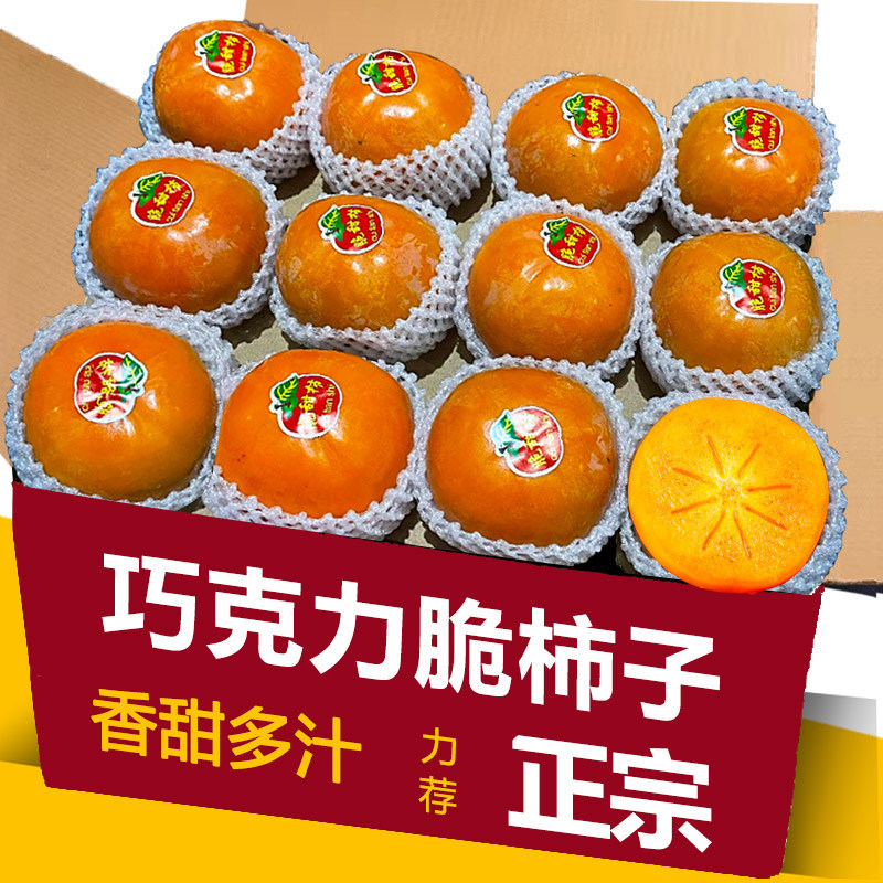 巧克力脆柿产地直发有坏包赔