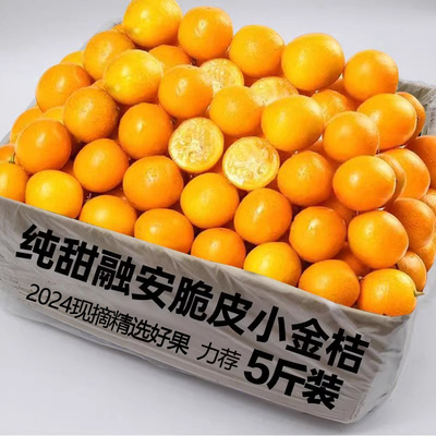 广西脆皮金桔5斤桔子应当季现摘新鲜水果金柑孕妇整箱包邮脆皮