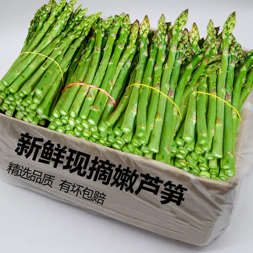 新鲜现挖嫩芦笋当季力荐5斤！